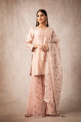 Karida Salmon Juhi Sharara Sets